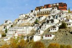 Pangong-Hemis / Thiksey-Leh